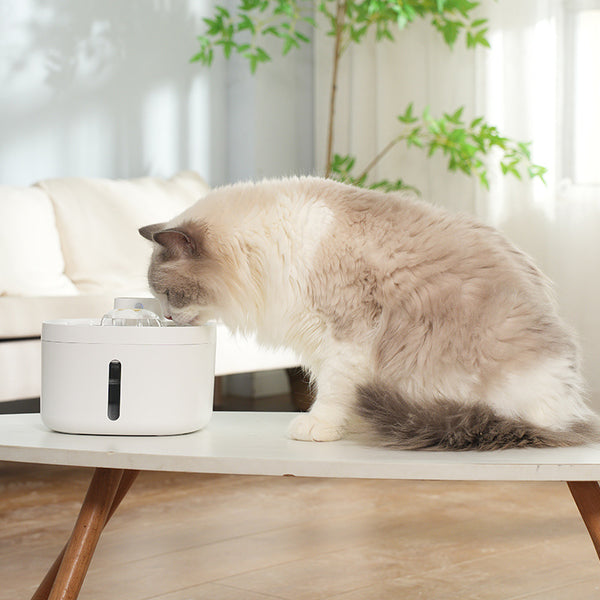 TechPet luxe wireless induction pet water dispenser, 2.6L