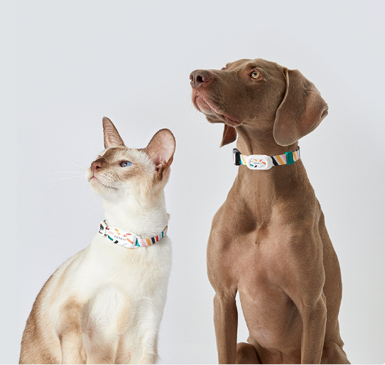 TechPet smart Bluetooth activity tracker for cats and dogs